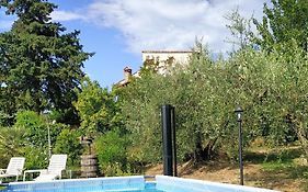 Nido di Rondine